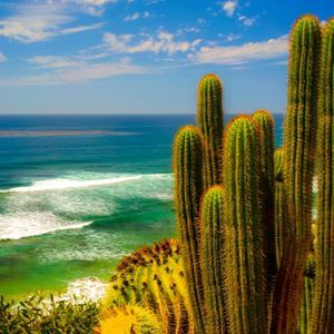 Meet your Posher, Ben